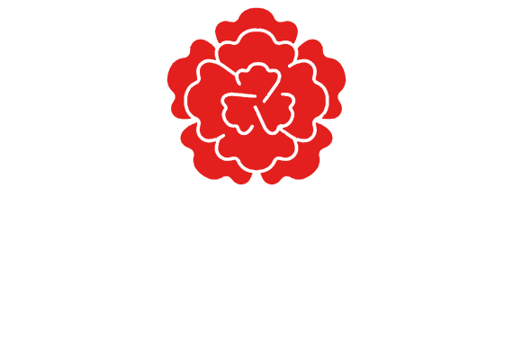Programa Partido Colorado